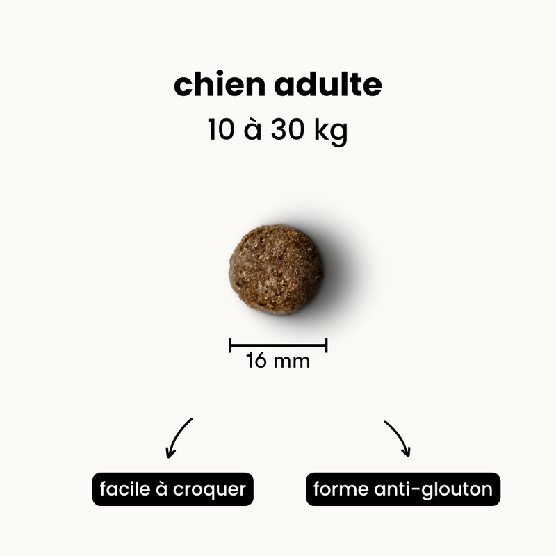 Croquettes Digestion - Chien Adulte 10 à 30 kg