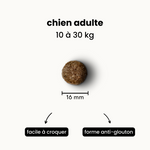 Croquettes digestion sensible - Chien adulte 10 à 30 kg