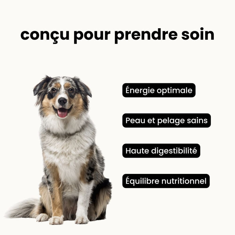 Croquettes équilibre - Chien adulte 10 à 30 kg