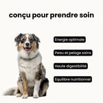 Croquettes équilibre - Chien adulte 10 à 30 kg