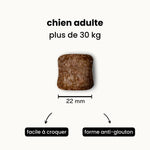Croquettes digestion sensible - Chien adulte plus de 30 kg