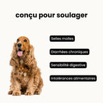 Croquettes digestion sensible - Chien adulte 10 à 30 kg