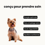 Croquettes équilibre - Chien adulte moins de 10 kg