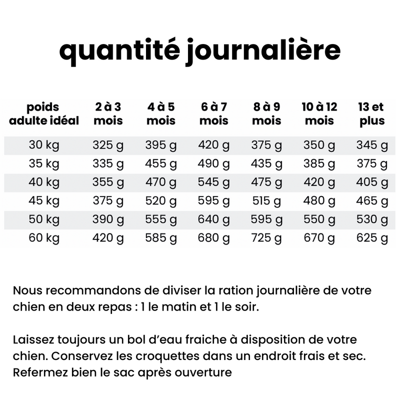 Croquettes équilibre - Chiot plus de 30 kg adulte