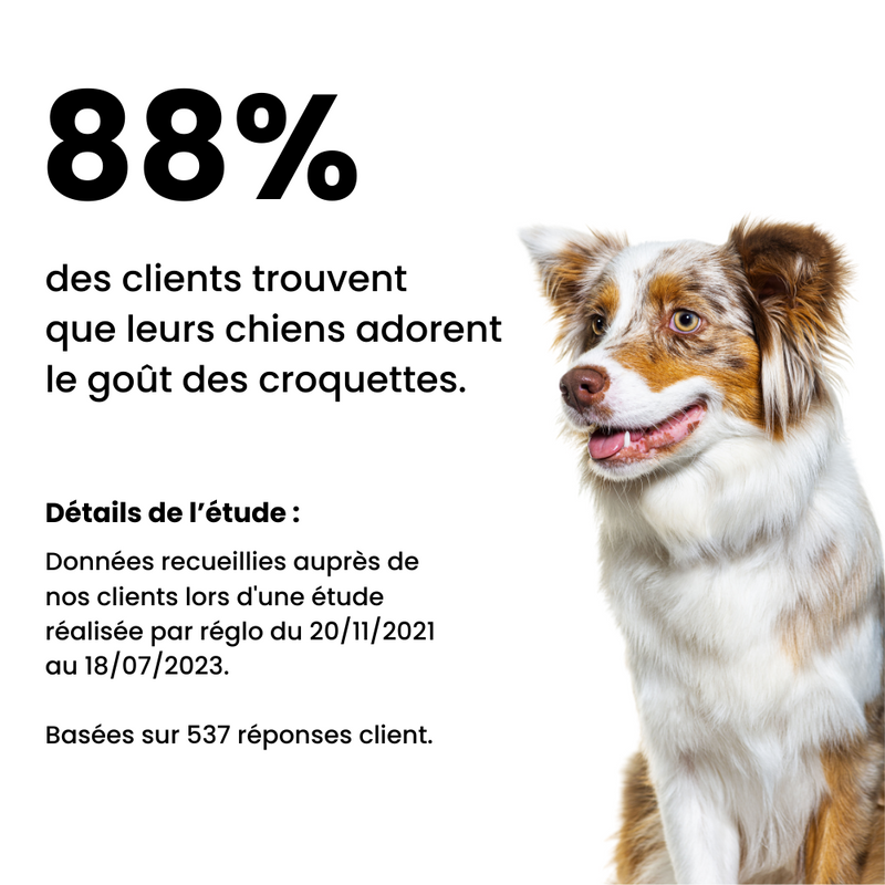 Croquettes Digestion - Chiot Toutes Tailles