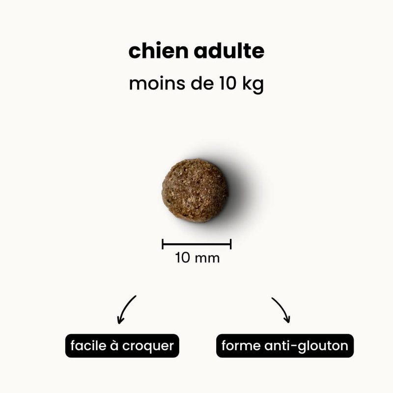 Croquettes hypoallergéniques - Chien adulte moins de 10 kg