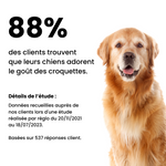 Croquettes Équilibre - Chiot Plus de 30 kg Adulte