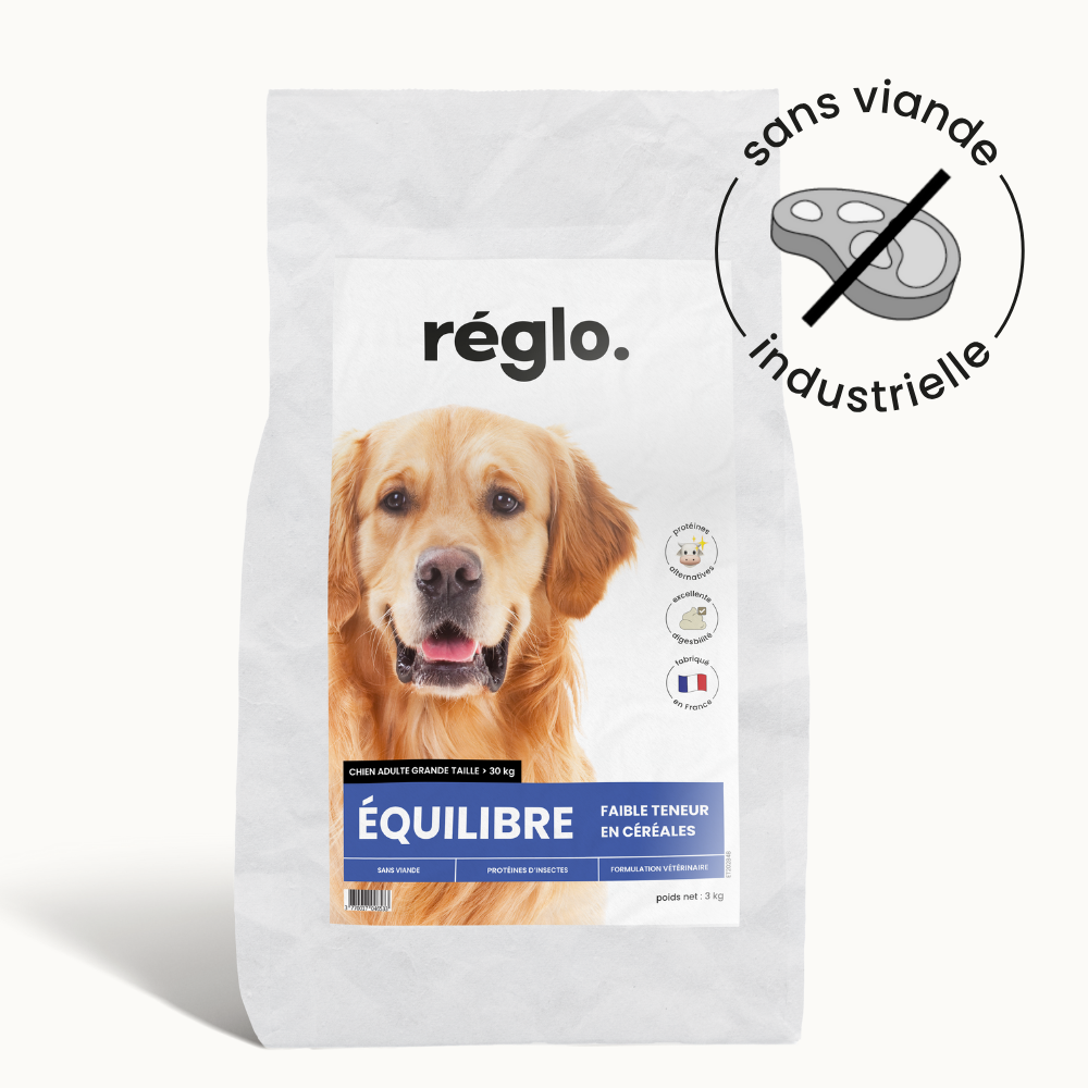 Croquettes Équilibre - Chien Adulte Plus de 25 kg