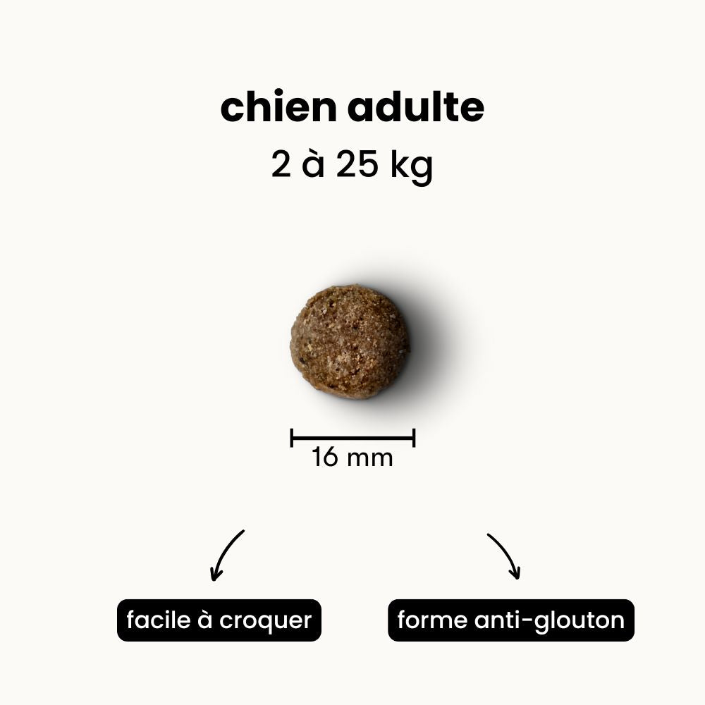 Croquettes Digestion - Chien Adulte 2 à 25 kg