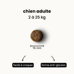 Croquettes Digestion - Chien Adulte 2 à 25 kg