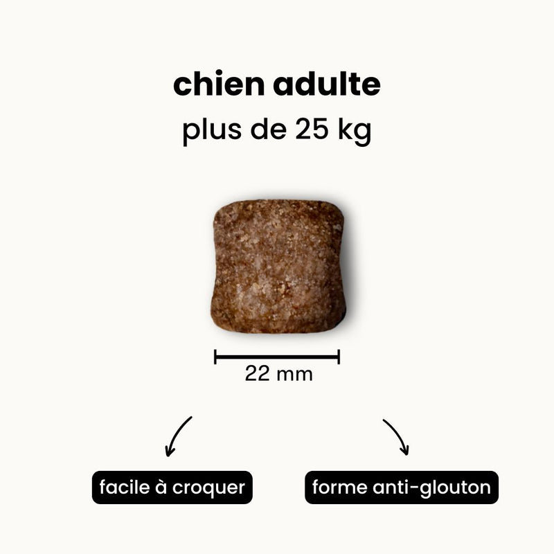 Croquettes Digestion - Chien Adulte Plus de 25 kg