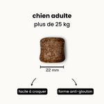 Croquettes Digestion - Chien Adulte Plus de 25 kg