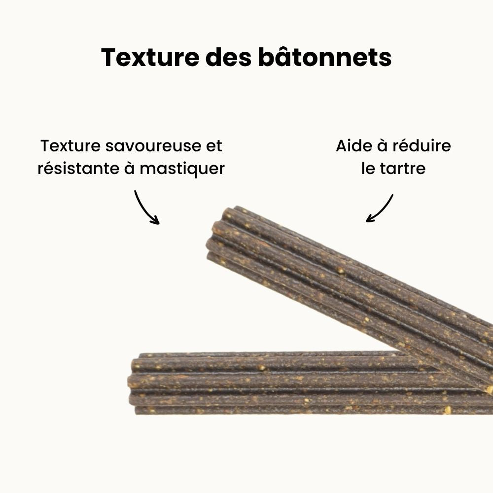 Bâtonnets Dentaires Hypoallergéniques