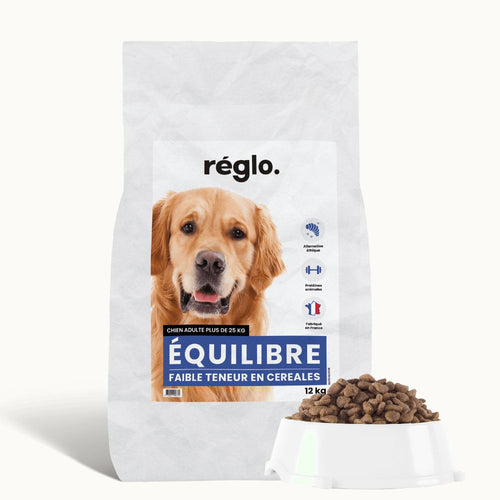 Croquettes Équilibre - Chien Adulte Plus de 25 kg