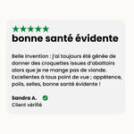 Croquettes chien stérilisé - Chien adulte toutes tailles