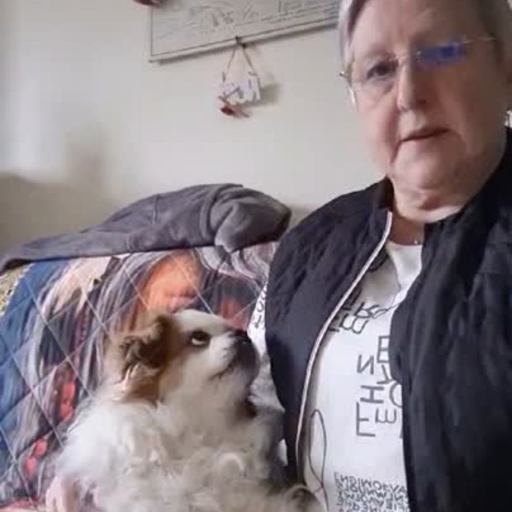 Croquettes Allergies - Chien Stérilisé Moins de 10 kg