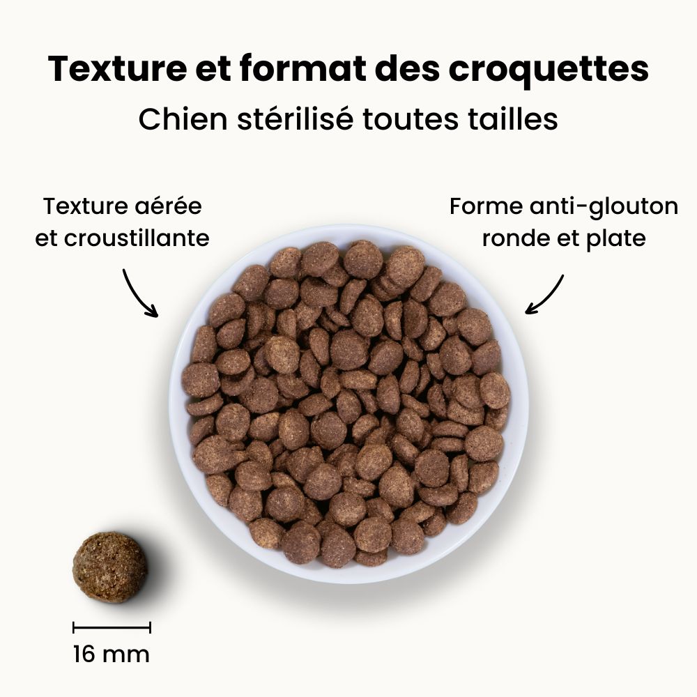 Croquettes Allergies - Chien stérilisé plus de 10 kg