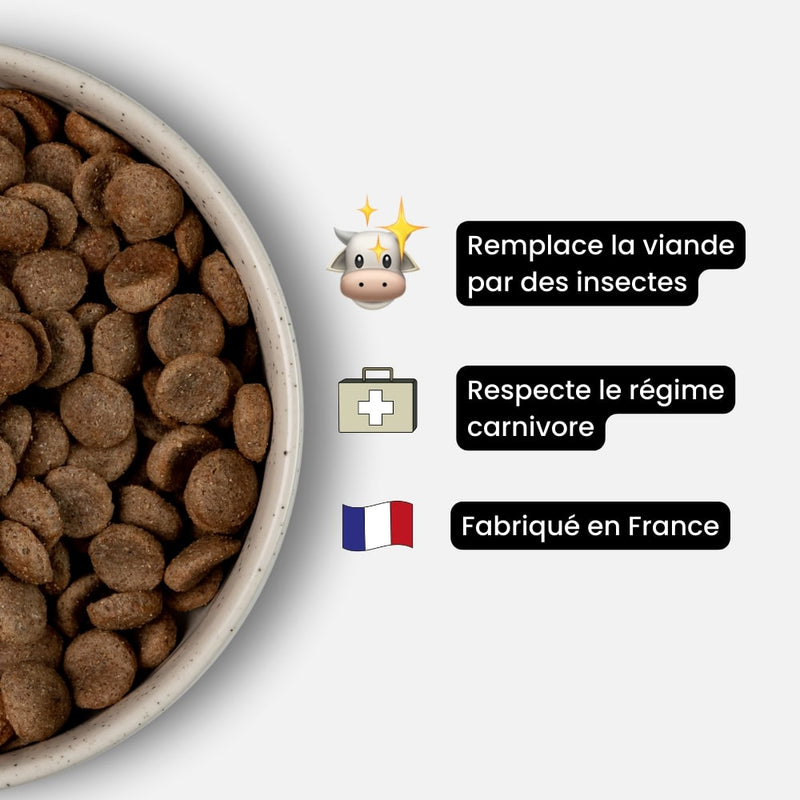 croquettes sans viande - chien adulte