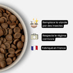 croquettes sans viande - chien adulte