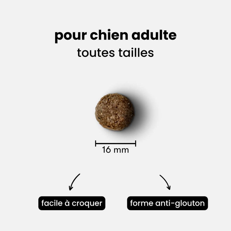 croquettes sans viande - chien adulte