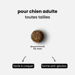 croquettes sans viande - chien adulte