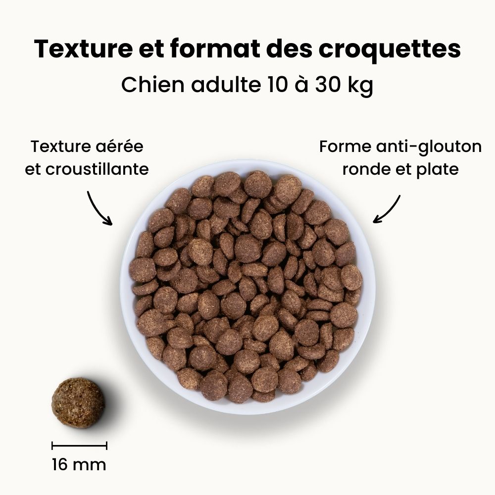 Croquettes Allergies - Chien Adulte 10 à 25 kg