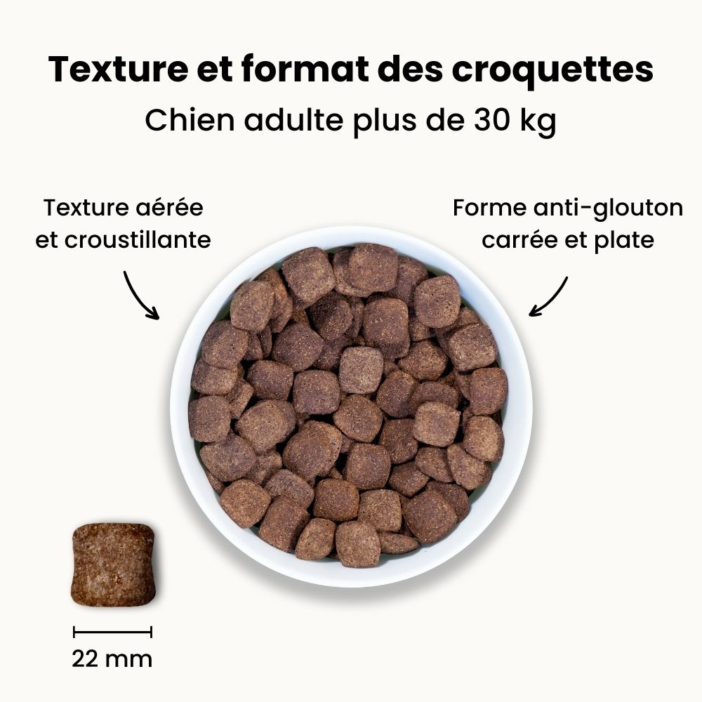 Croquettes Allergies - Chien Adulte Plus de 25 kg