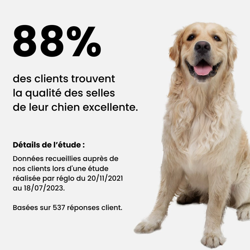croquettes sans viande - chien adulte