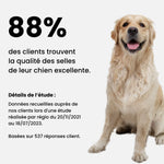 croquettes sans viande - chien adulte