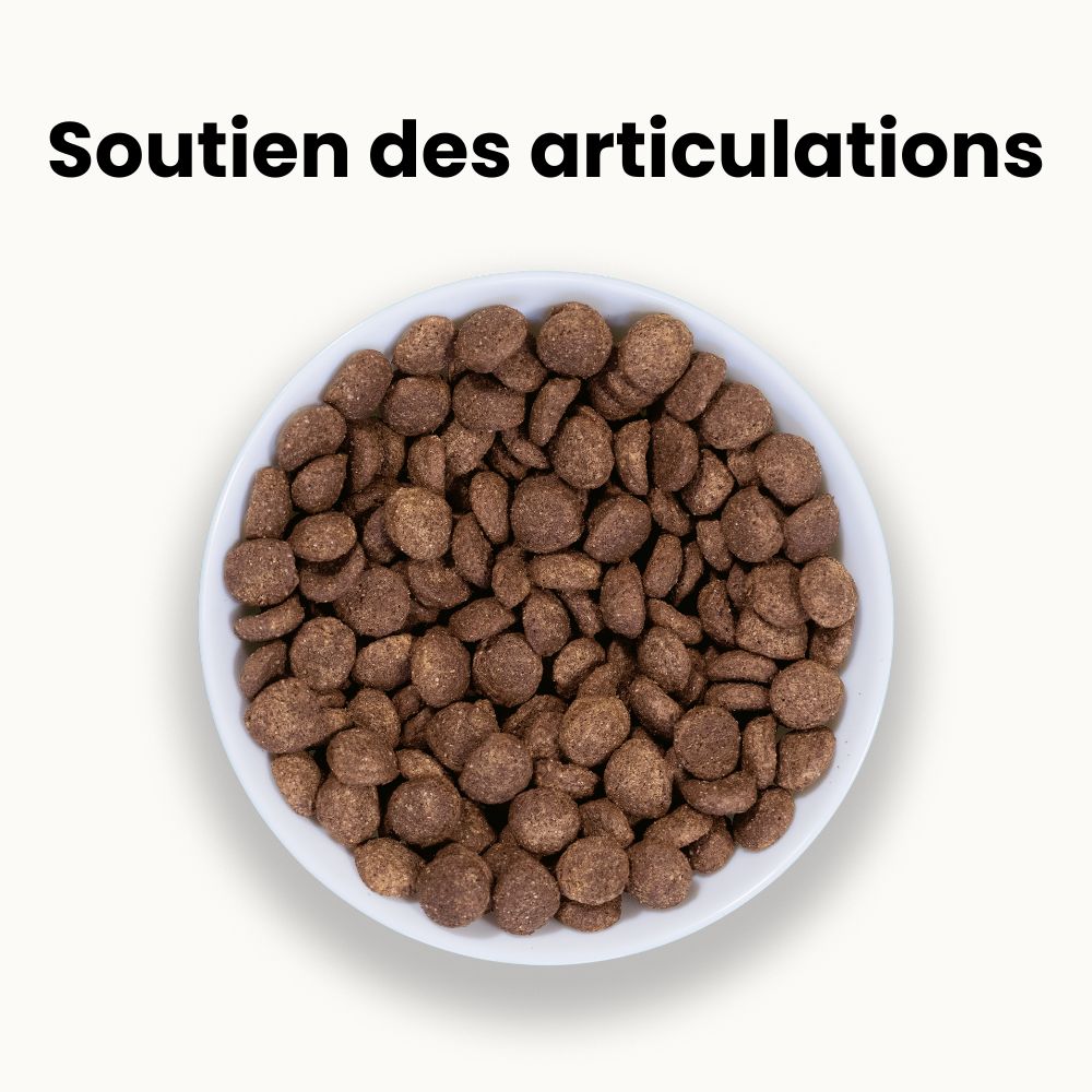 Croquettes Allergies - Chien sénior plus de 10 kg