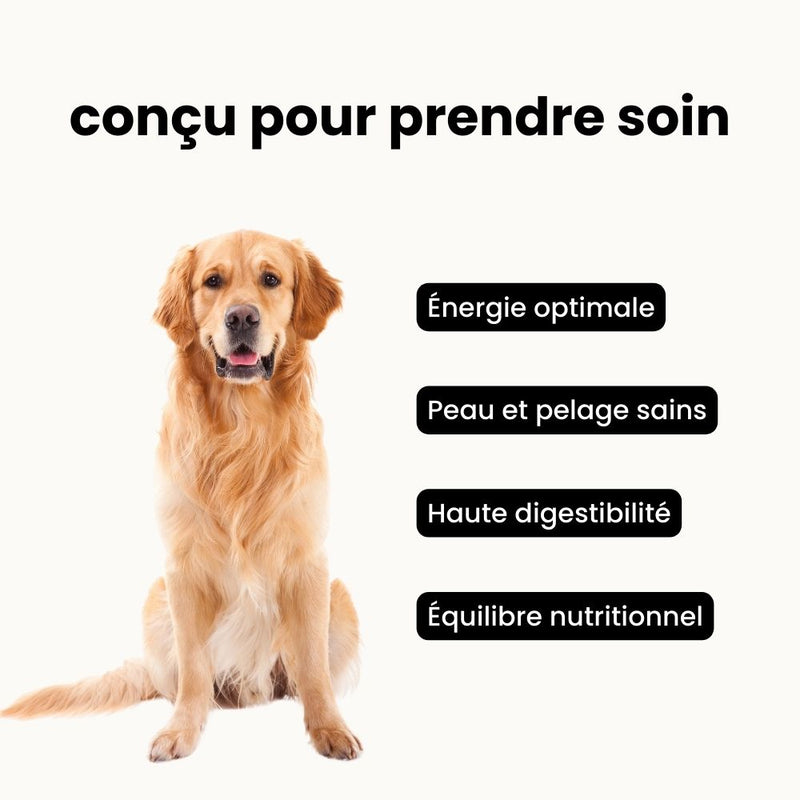 Croquettes chien stérilisé - Chien adulte toutes tailles