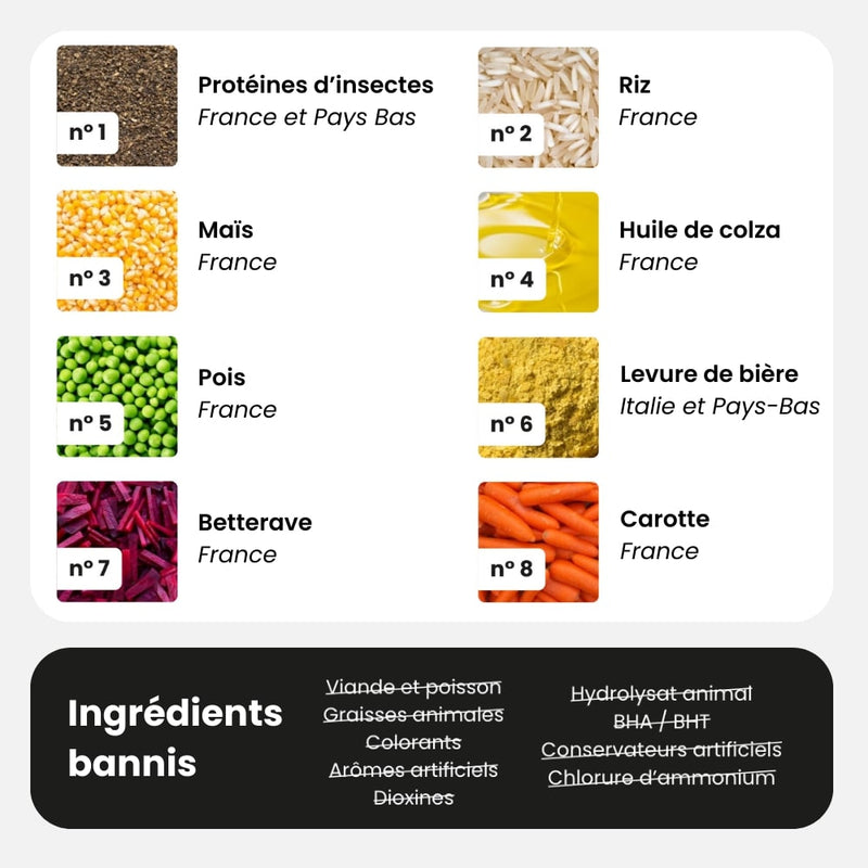 croquettes sans viande - chien adulte