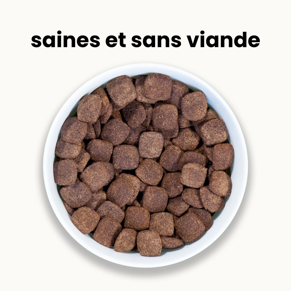 Croquettes Équilibre - Chien Adulte Plus de 25 kg