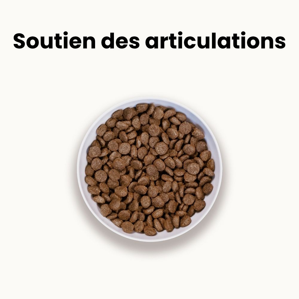 Croquettes Allergies - Chien Senior Moins de 10 kg