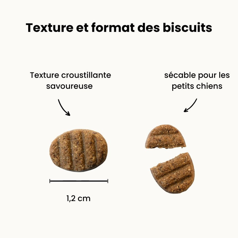 Biscuits Hypoallergéniques