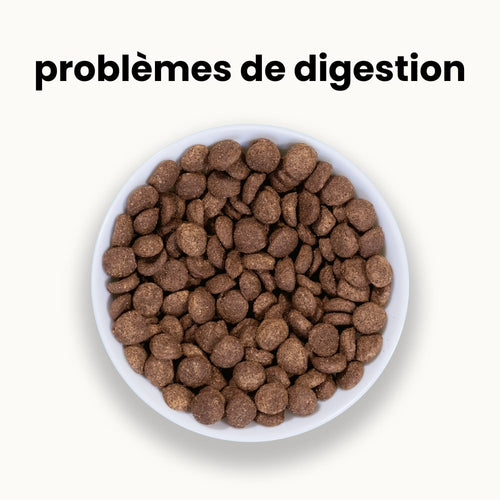 Croquettes Digestion - Chien Adulte 10 à 30 kg
