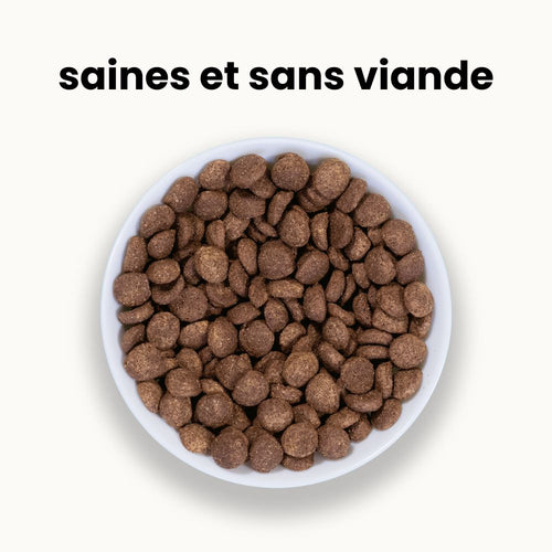 Croquettes Équilibre - Chiot Plus de 30 kg Adulte