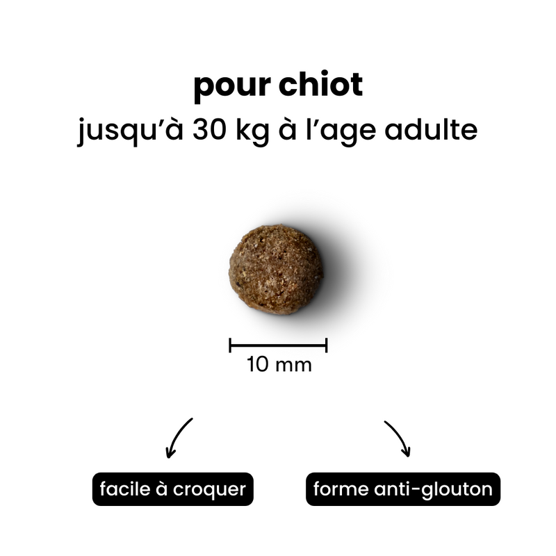 Croquettes Équilibre - Chiot Moins de 30 kg Adulte