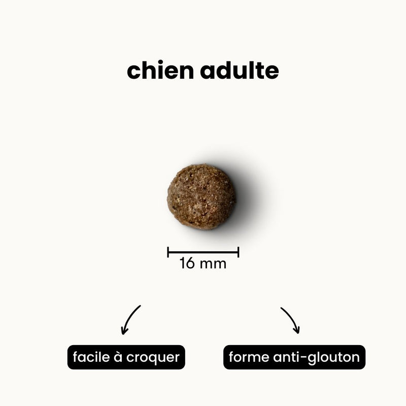 Croquettes chien stérilisé - Chien adulte toutes tailles