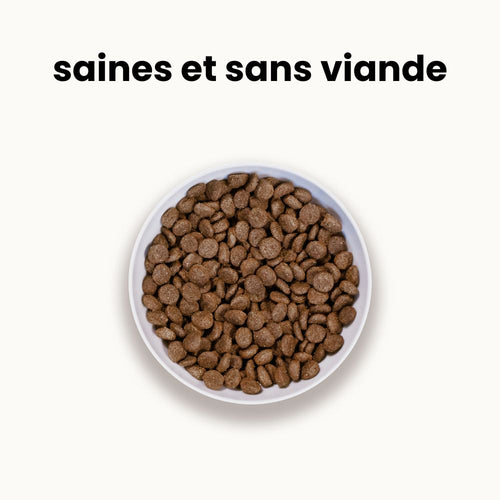 Croquettes Équilibre - Chiot Moins de 30 kg Adulte