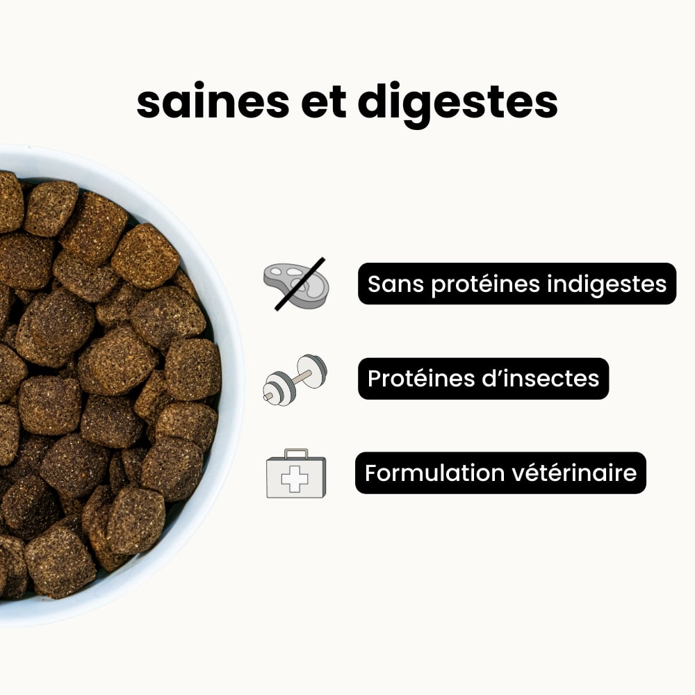 Croquettes Digestion - Chien Adulte Plus de 25 kg