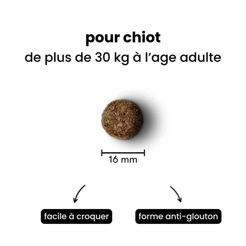 Croquettes Équilibre - Chiot Plus de 30 kg Adulte