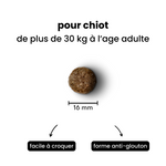 Croquettes équilibre - Chiot plus de 30 kg adulte