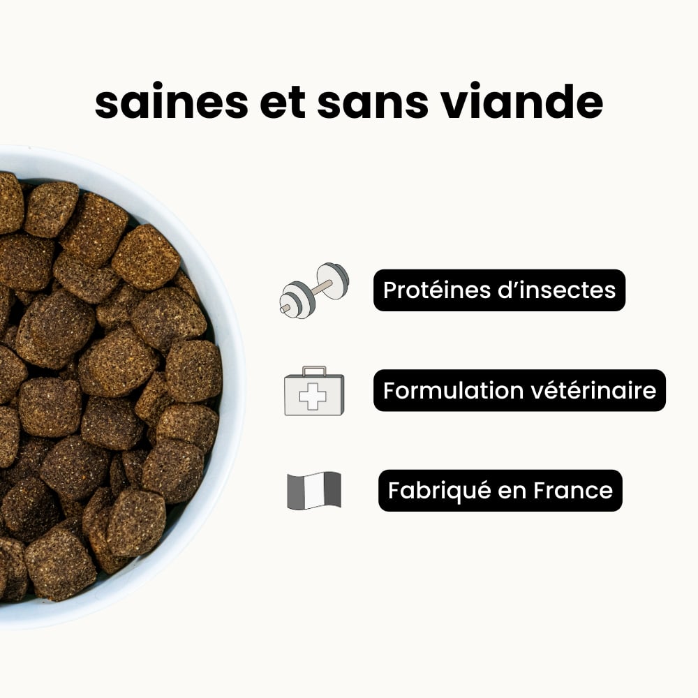 Croquettes Équilibre - Chien Adulte Plus de 25 kg