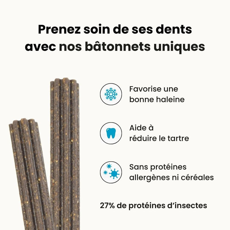 Bâtonnets Dentaires Hypoallergéniques