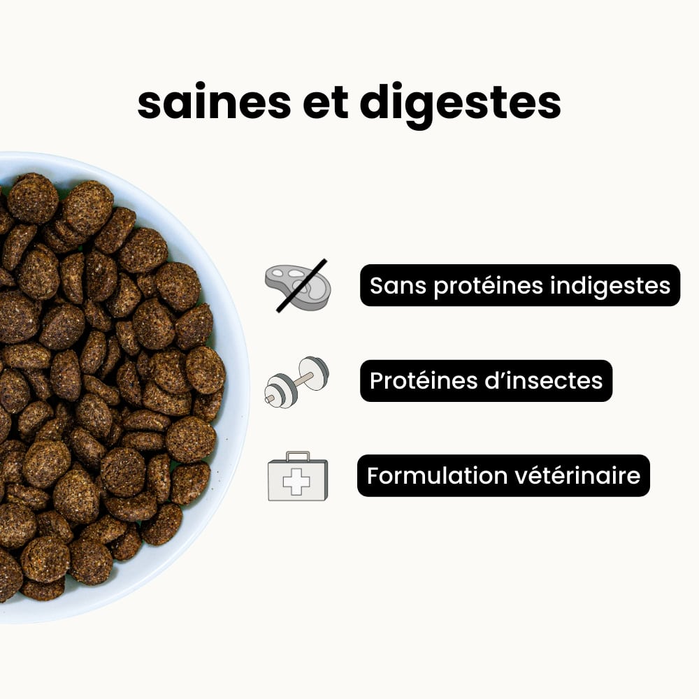 Croquettes Digestion - Chien Adulte 2 à 25 kg