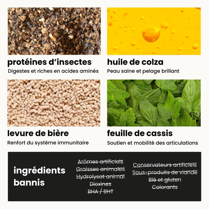 Croquettes Digestion - Chien Adulte Plus de 30 kg