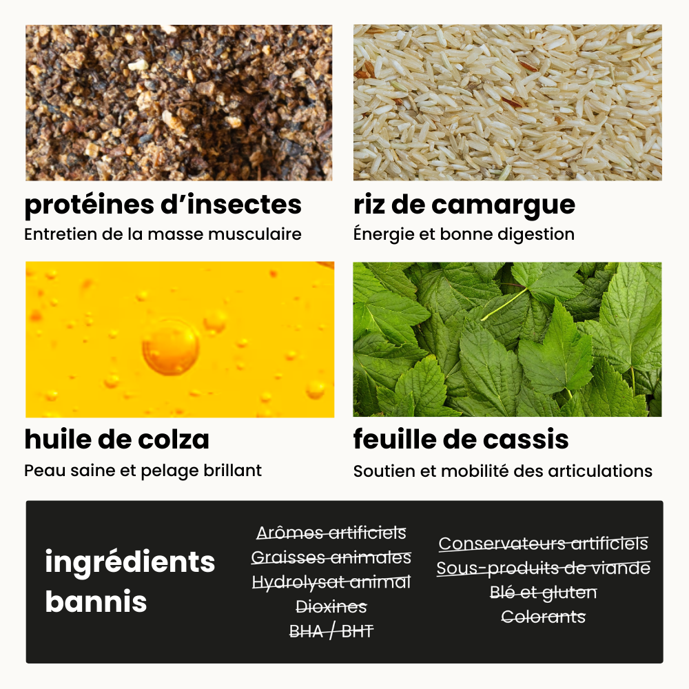 Croquettes Équilibre - Chien Adulte Plus de 25 kg