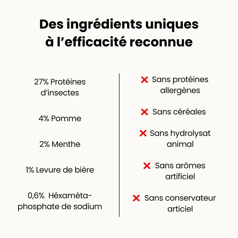 Bâtonnets Dentaires Hypoallergéniques