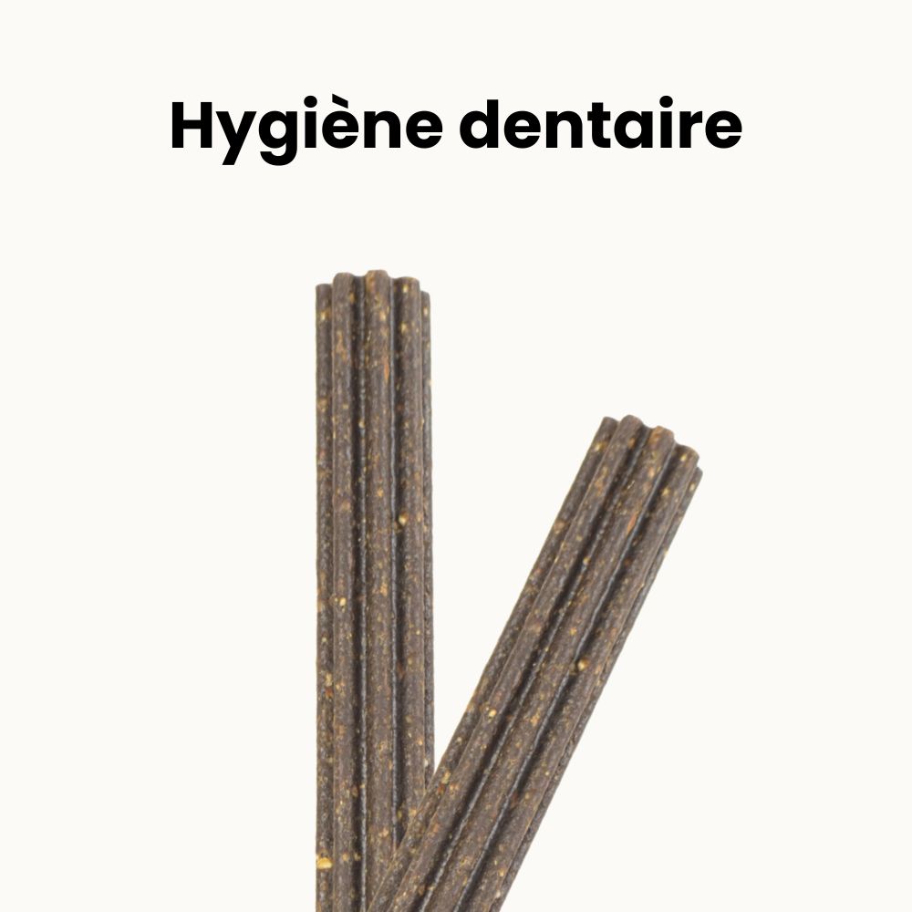 Bâtonnets Dentaires Hypoallergéniques